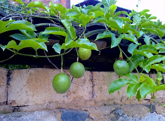 ����������������