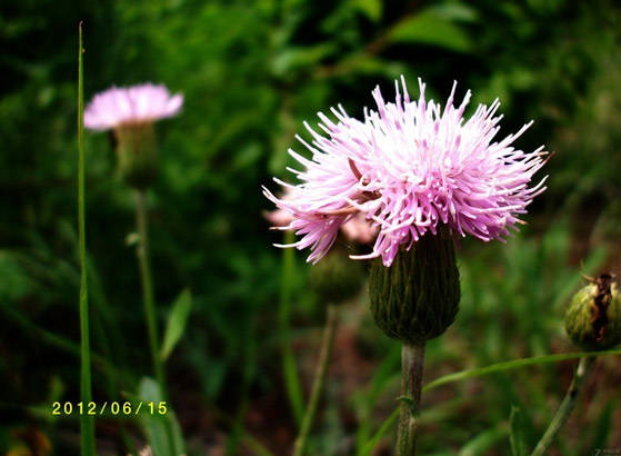 �·���Ұ��