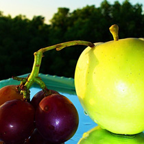 ���⣺ʢ�ĵĹ�ʵ<br/>
�ͺţ�����MT15i<br/>