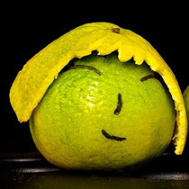 ���⣺���֮��<br/>
�ͺţ�����i9100<br/>