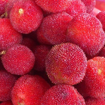 ���⣺����ˬ����÷<br/>
�ͺţ�����LT18i<br/>