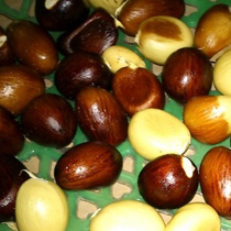 ���⣺���ʵ�ˮ��<br/>
�ͺţ�����wt19i<br/> 