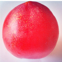 ���⣺��������<br/>
�ͺţ�OPPO X905<br/>