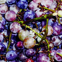 ���⣺������<br/>
�ͺţ�����c280<br/>